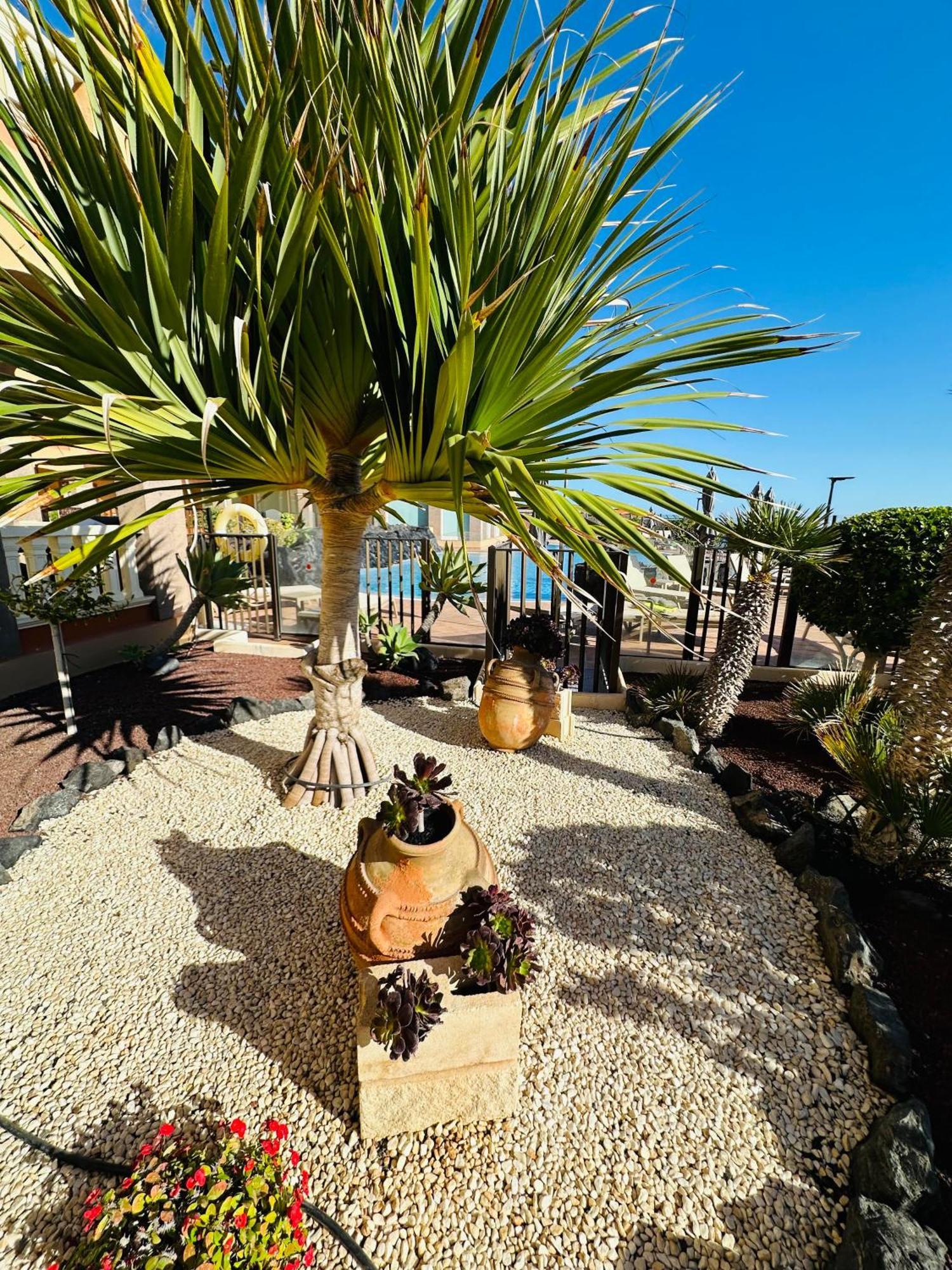 El Nautico Coral Suites San Miguel de Abona Zewnętrze zdjęcie