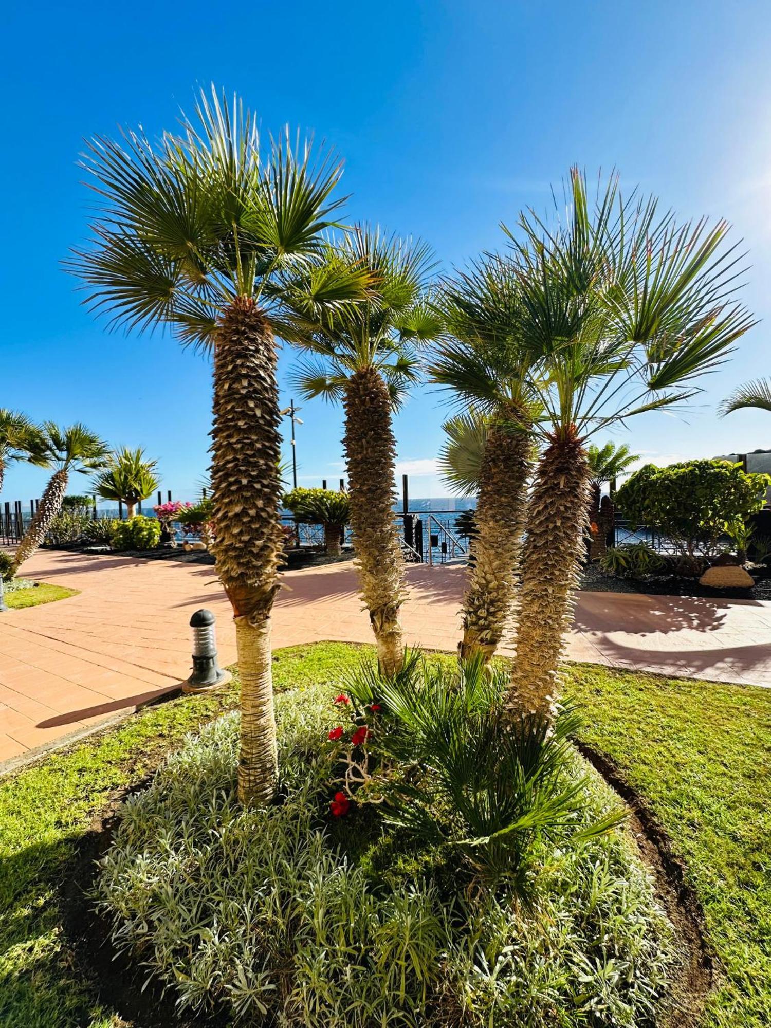 El Nautico Coral Suites San Miguel de Abona Zewnętrze zdjęcie