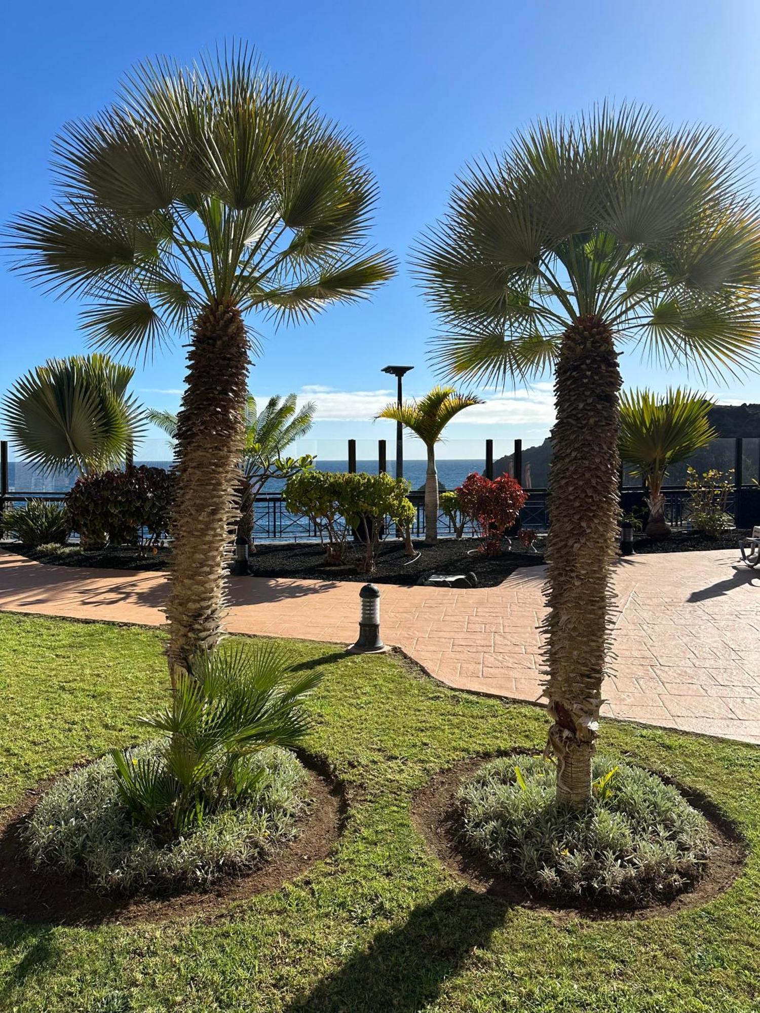 El Nautico Coral Suites San Miguel de Abona Zewnętrze zdjęcie
